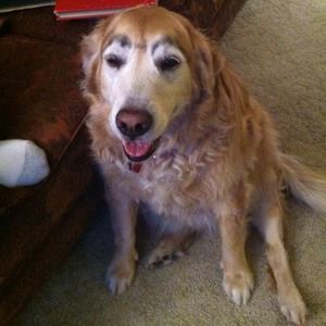 Meet your Posher, Scott